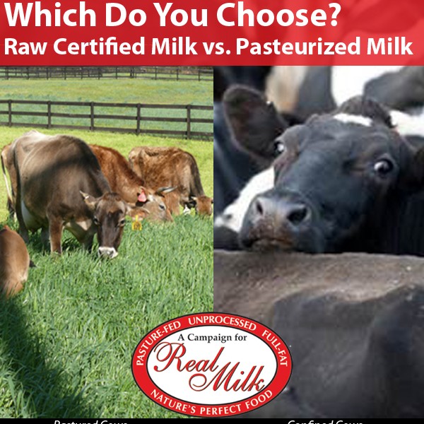 Which Do You Choose? Raw Certified Milk vs. Pasteurized Milk - A ...