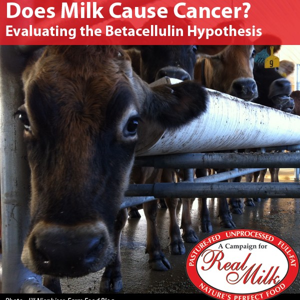 does-milk-cause-cancer-evaluating-the-betacellulin-hypothesis-a