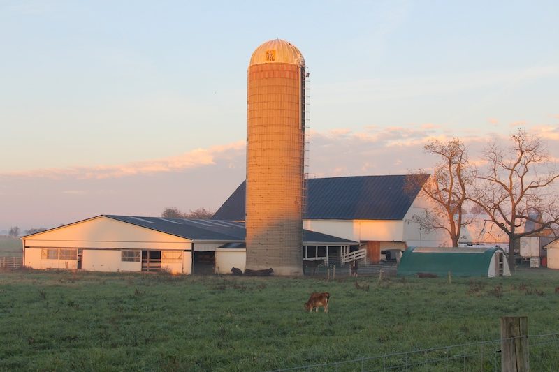 Millers Organic Farm Falsely Linked to Listeria Illness? A Campaign