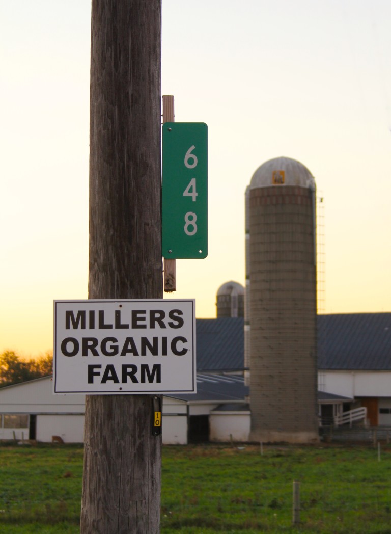 Millers Organic Farm Falsely Linked to Listeria Illness? A Campaign